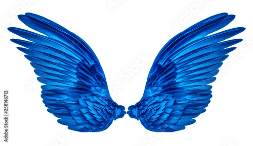 Obraz na plátně blue wings of bird on white background