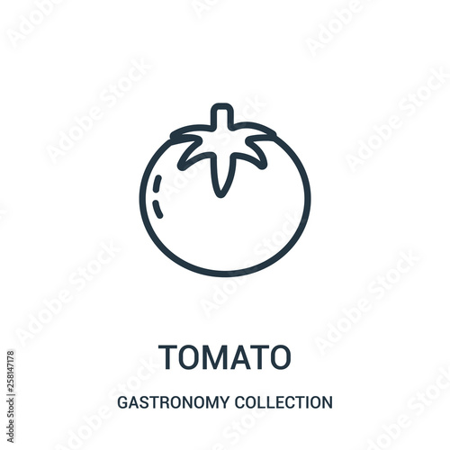 tomato icon vector from gastronomy collection collection. Thin line tomato outline icon vector illustration.