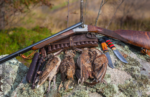 Photo Woodcock hunting