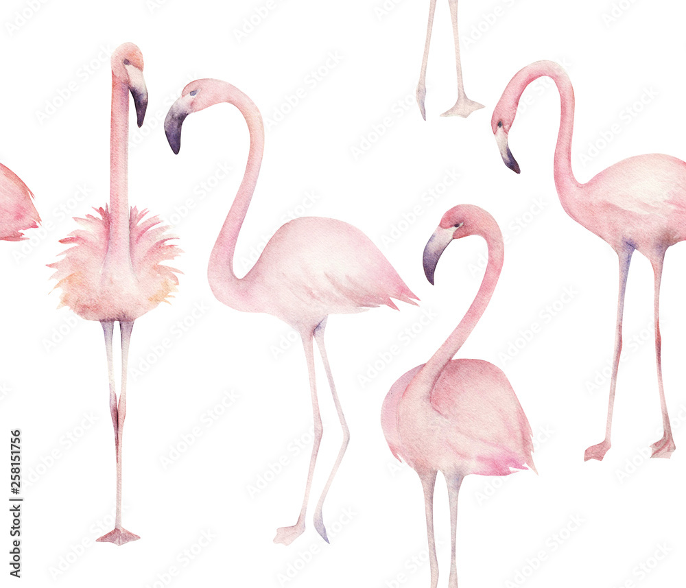 Obraz premium Watercolor seamless pattern with exotic flamingo. Summer watercolour decoration print for wrapping, wallpaper, fabric