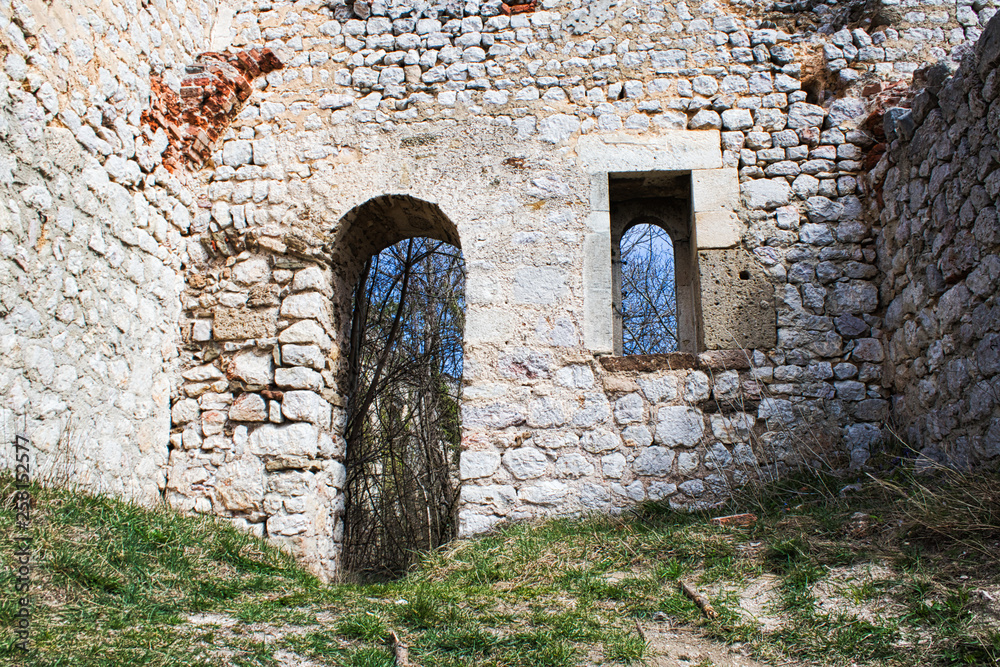 Naklejka premium old wall from a castle ruin in the woods