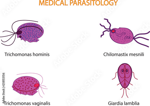 Sankt-Peterburgda jinsiy aloqa uchun shaxsiy tanishuv Gigantning qini ichida
