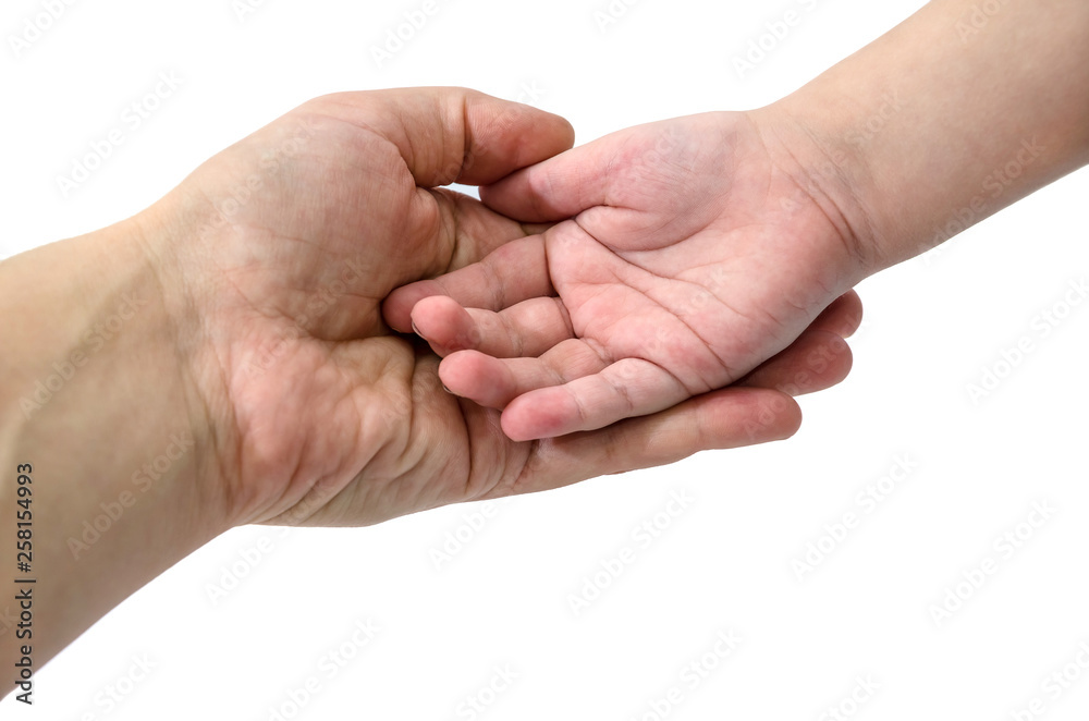 female and children's hand on a white background female and children's hand on a white background