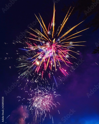 fireworks in the sky