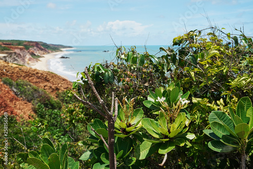tropical beach in brazil