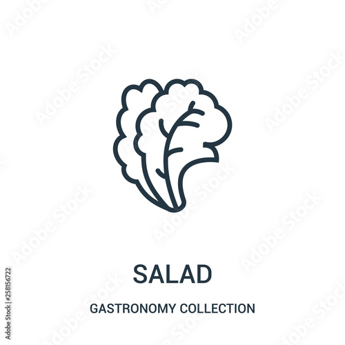 salad icon vector from gastronomy collection collection. Thin line salad outline icon vector illustration.