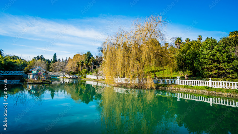 beautiful pond with birds in Sochi. Russia