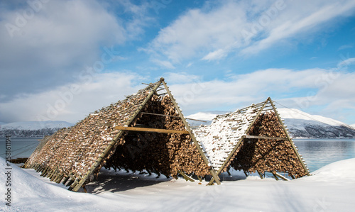 stockfish