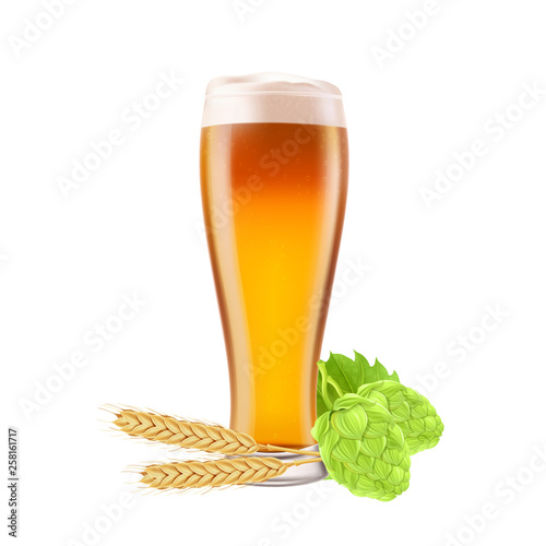 Glass of beer on a white background with hop cones and spikelet of wheat. Vector illustration