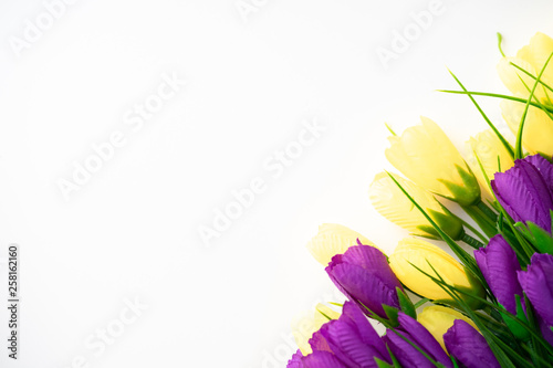 Fototapeta Naklejka Na Ścianę i Meble -  Bright beautiful flowers lie on a white background.