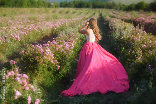 Rear view young woman goes to spring garden with pink rose flowers, sunset time. She is wearing a beautiful bride dress