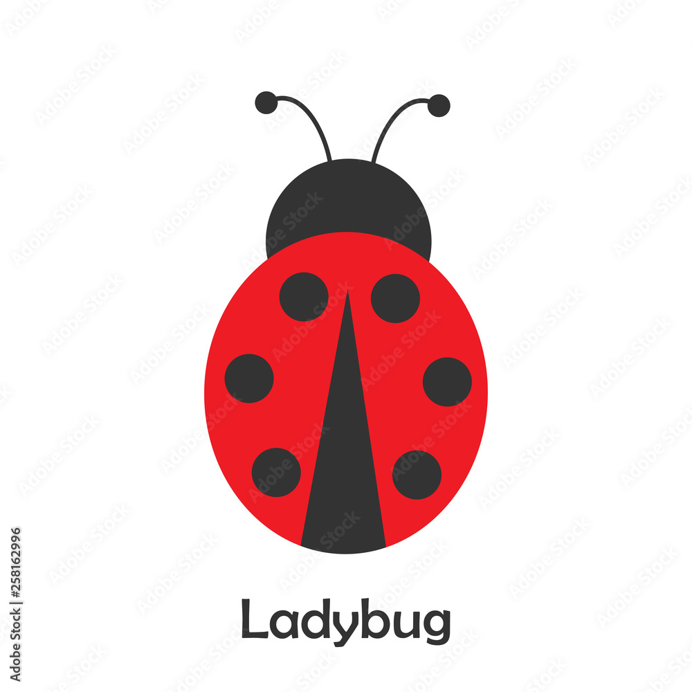 Fototapeta premium Ladybug in cartoon style, spring card for kid, preschool activity for children, vector illustration
