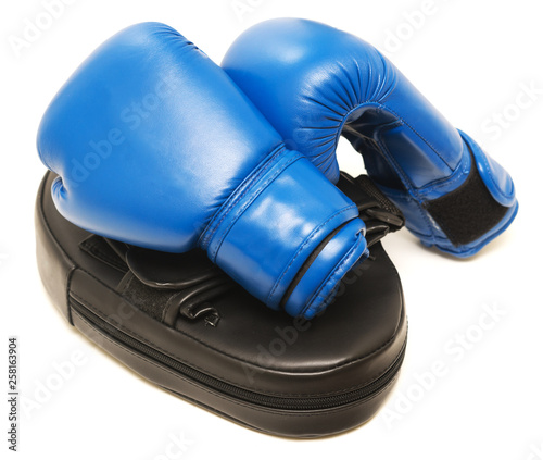 Boxing gloves and mitt © rufar