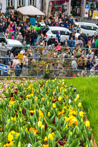 Backnanger Tulpenfrühling  photo