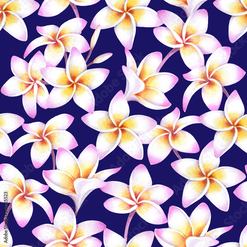 Tropical white plumeria flowers on dark background. Watercolor seamless pattern of hawaiian plants.