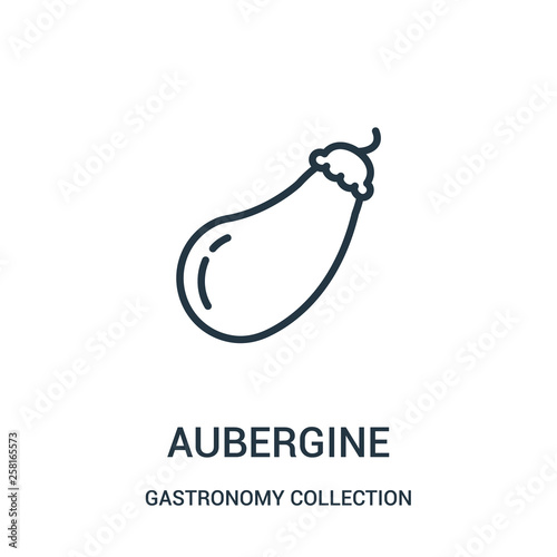 aubergine icon vector from gastronomy collection collection. Thin line aubergine outline icon vector illustration.