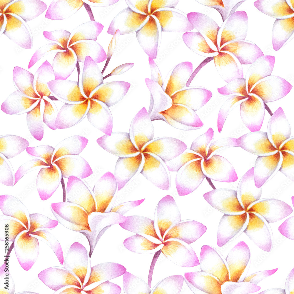 Fototapeta premium Tropical background with white plumeria flowers. Watercolor seamless pattern of hawaiian plants.