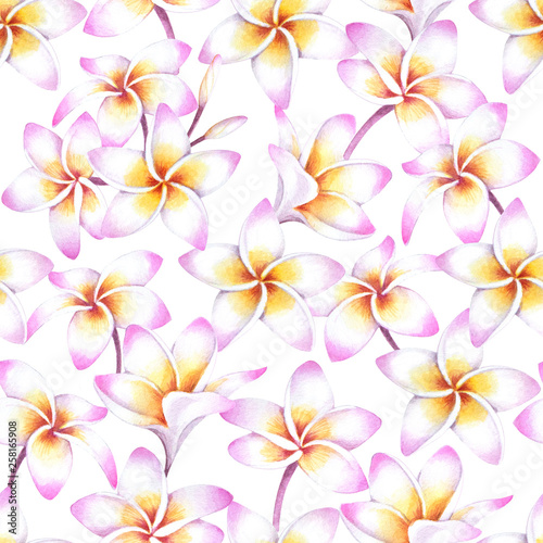 Tropical background with white plumeria flowers. Watercolor seamless pattern of hawaiian plants.
