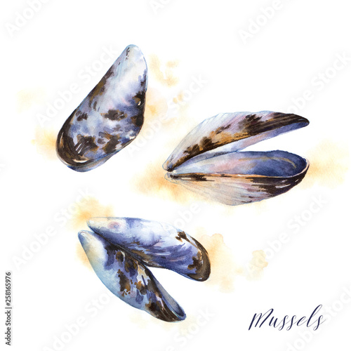 Isolated watercolor illustration of mussels. Hand drawn seafood.