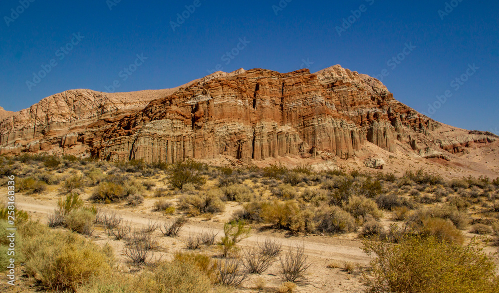 Fototapeta premium standing in front of beautiful inspiring landscape - death valley national park