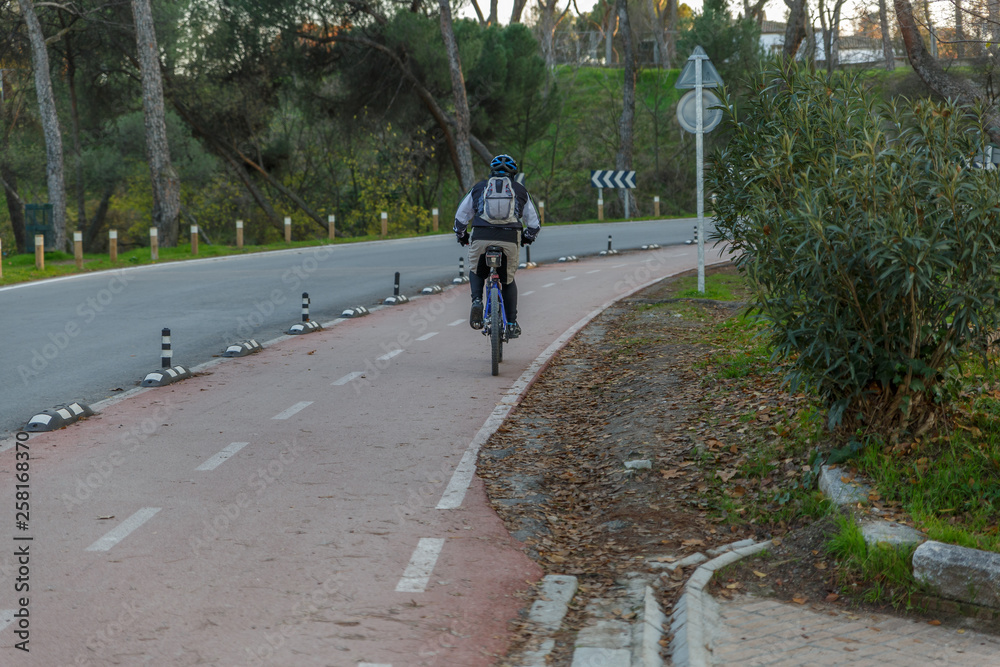 Cyclist with backpack and helmet drives a mountain bike in a special lane for cyclists