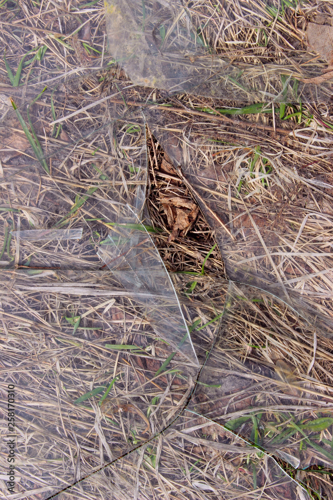 Broken Glass On The Dry Grass. Shattered Glass On The Ground. Abstract Background Textures. Splinters Of Broken Window. Broken Glass On The Dry Grass. Shattered Glass On The Ground. Abstract Background Textures. Splinters Of Broken Window.