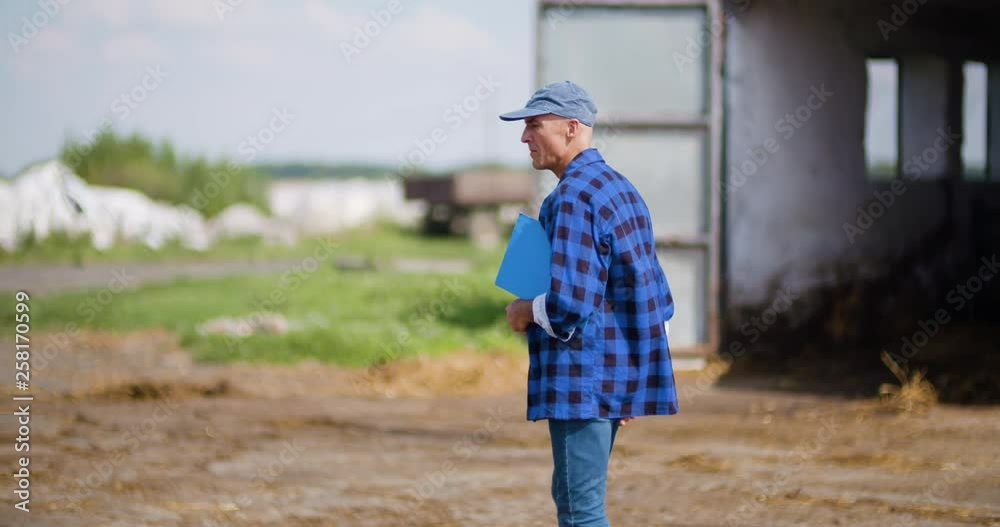 Livestock Agriculture Farmer Working Livestock Agriculture Farmer Working