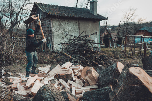 A chilly man harvests wood for cold winter cutting a thick solid ash tree