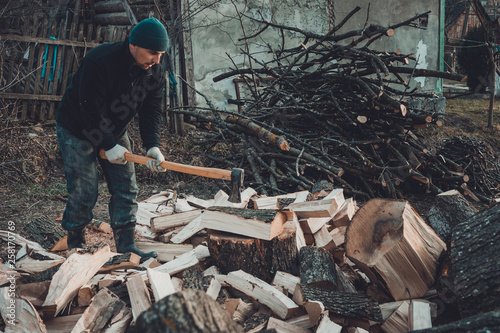 A strong man harvests firewood for the winter in the back yard of the house cutting the big and sturdy grass tree