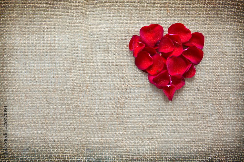 Red heart of roses petals isolated on a cloth background.