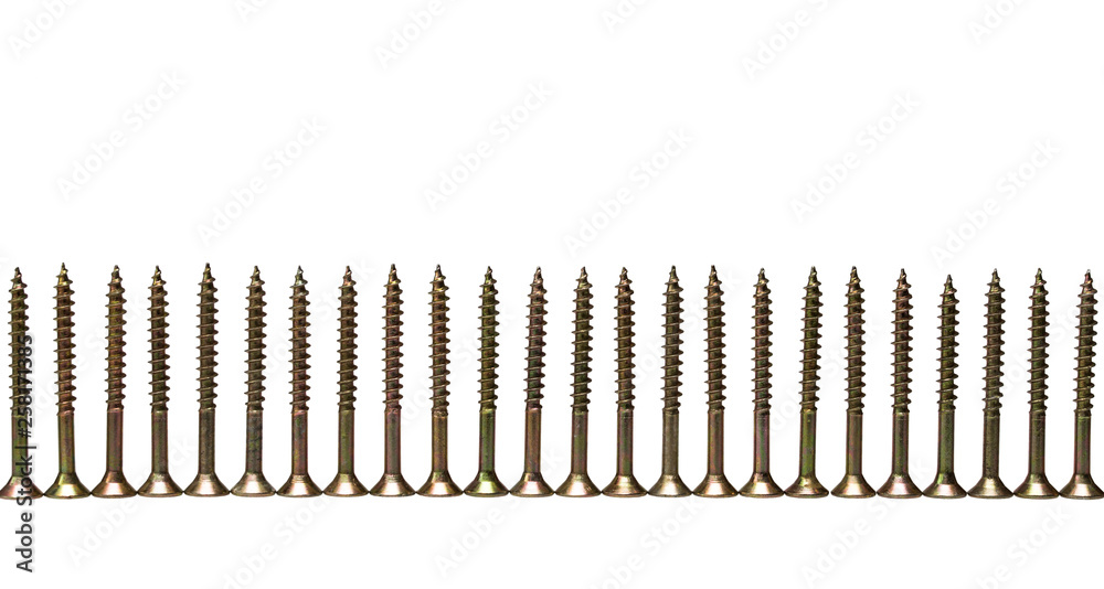 line of screws isolated on white background line of screws isolated on white background