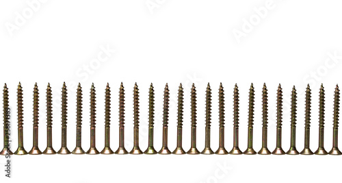 line of screws isolated on white background