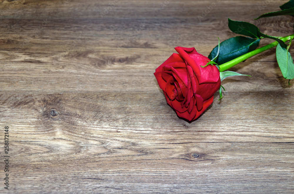 red rose on wooden background.