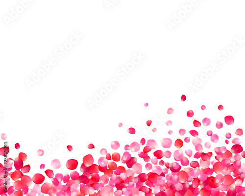 Background with pink rose petals