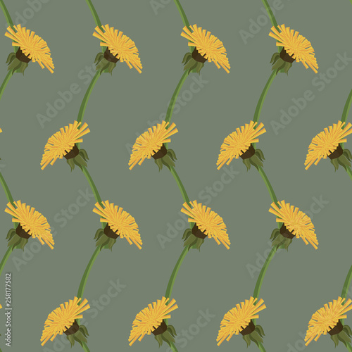 seamless pattern with dandelions