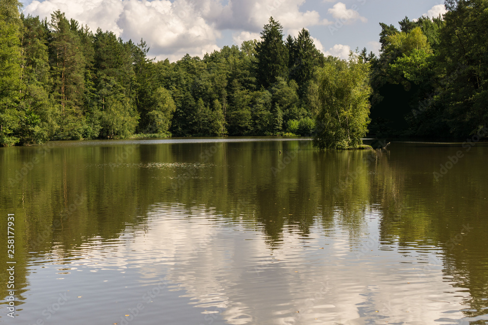 Waldsee