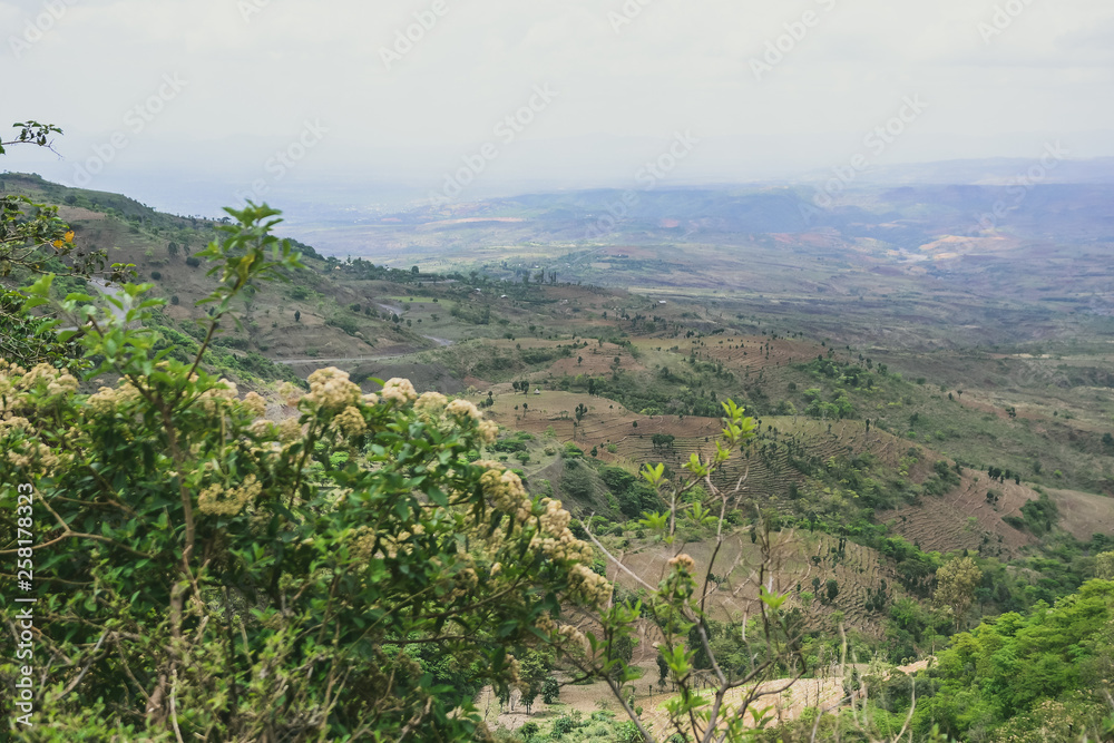 Landscape in Turmi