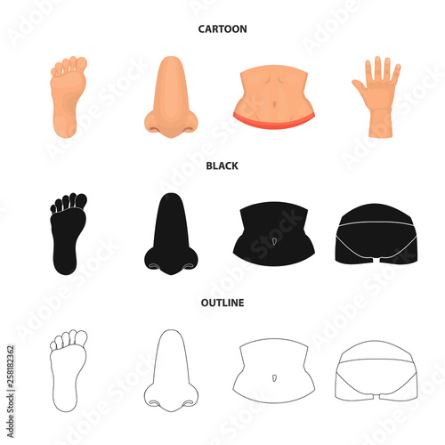 Isolated object of body and part sign. Collection of body and anatomy stock vector illustration.