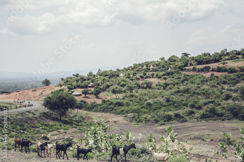 Landscape in Turmi photo