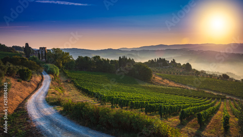 Panorama of Tuscan vineyard covered in fog at the dawn near Castellina in Chianti, Italy photo