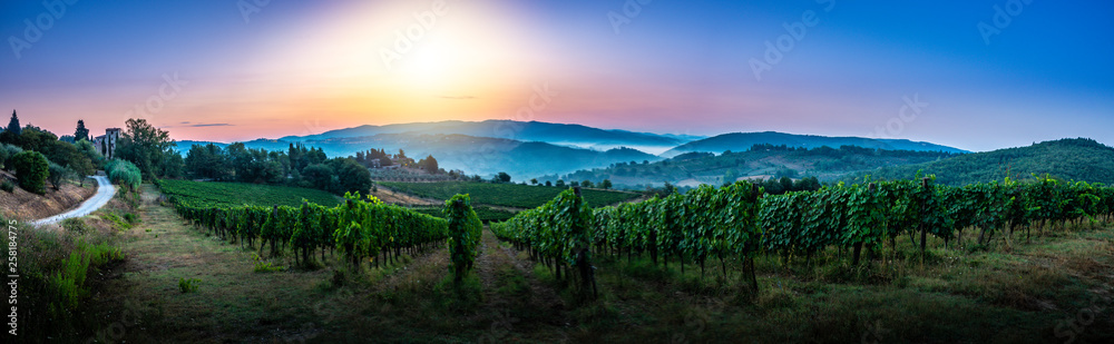 Fototapeta premium Panorama toskańskiej winnicy we mgle o świcie w pobliżu Castellina in Chianti we Włoszech
