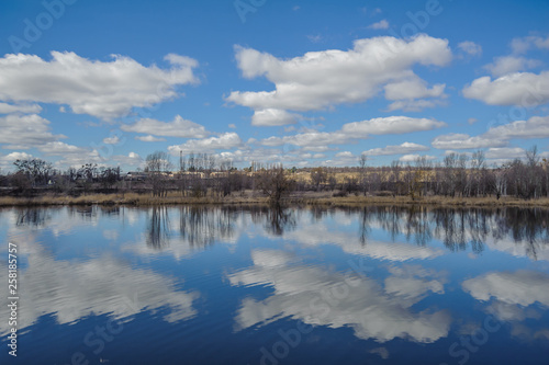 Trees with spring sky and clouds in the reflection of water.