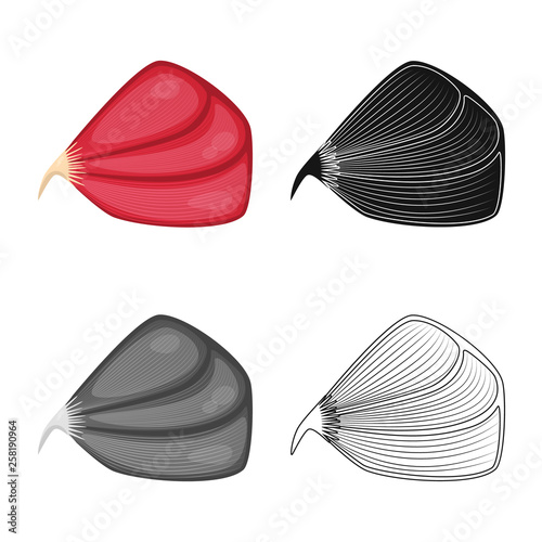 Vector design of fiber and muscular symbol. Collection of fiber and body  vector icon for stock.