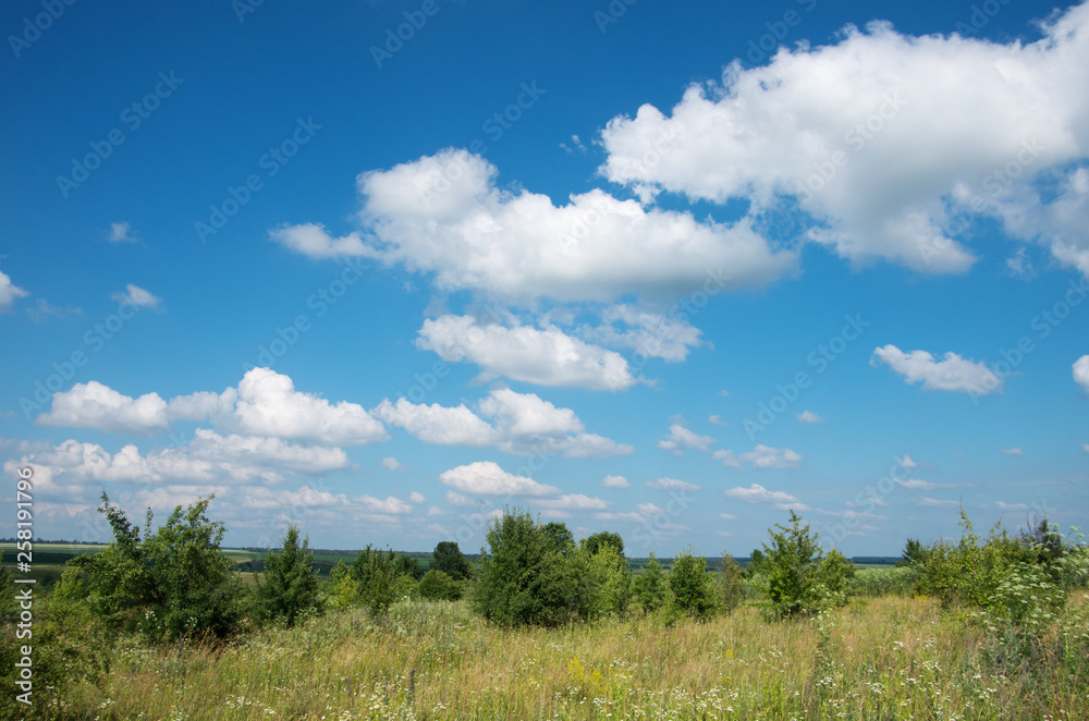 green meadow and blue sky with clouds in summer green meadow and blue sky with clouds in summer