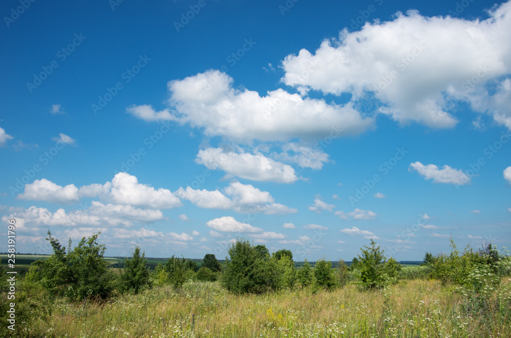 green meadow and blue sky with clouds in summer