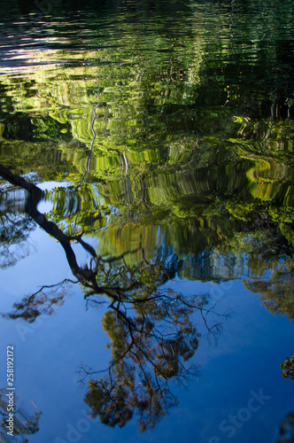 lake in forest reflection