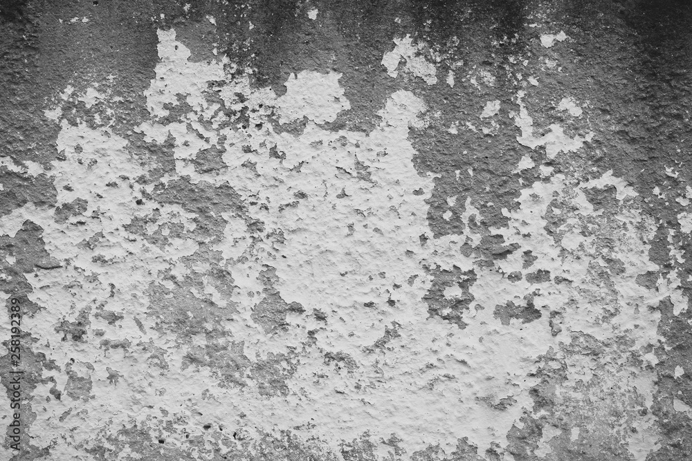 The texture of the old cement wall with scratches, cracks, dust, crevices, roughness, stucco. Can be used as a poster or background for design.