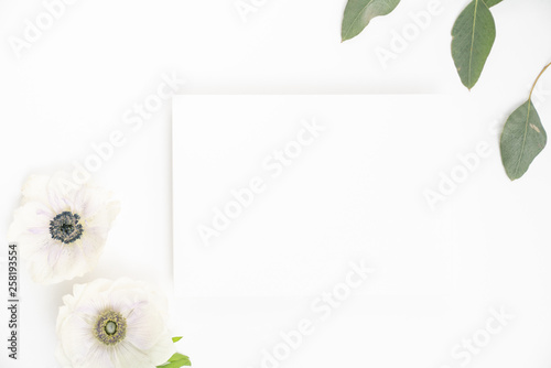 White Stationery Background Flatlay with Anemones and Eucalyptus branch