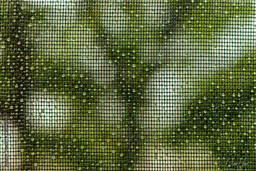 abstract green background