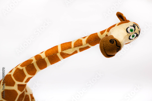 Stuffed giraffe. Baby  plush toy on white background